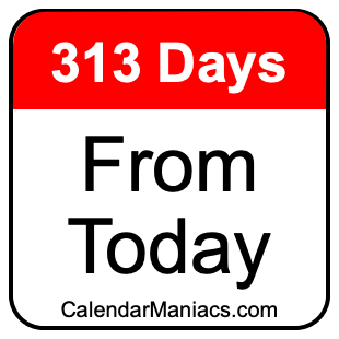 313 days from today